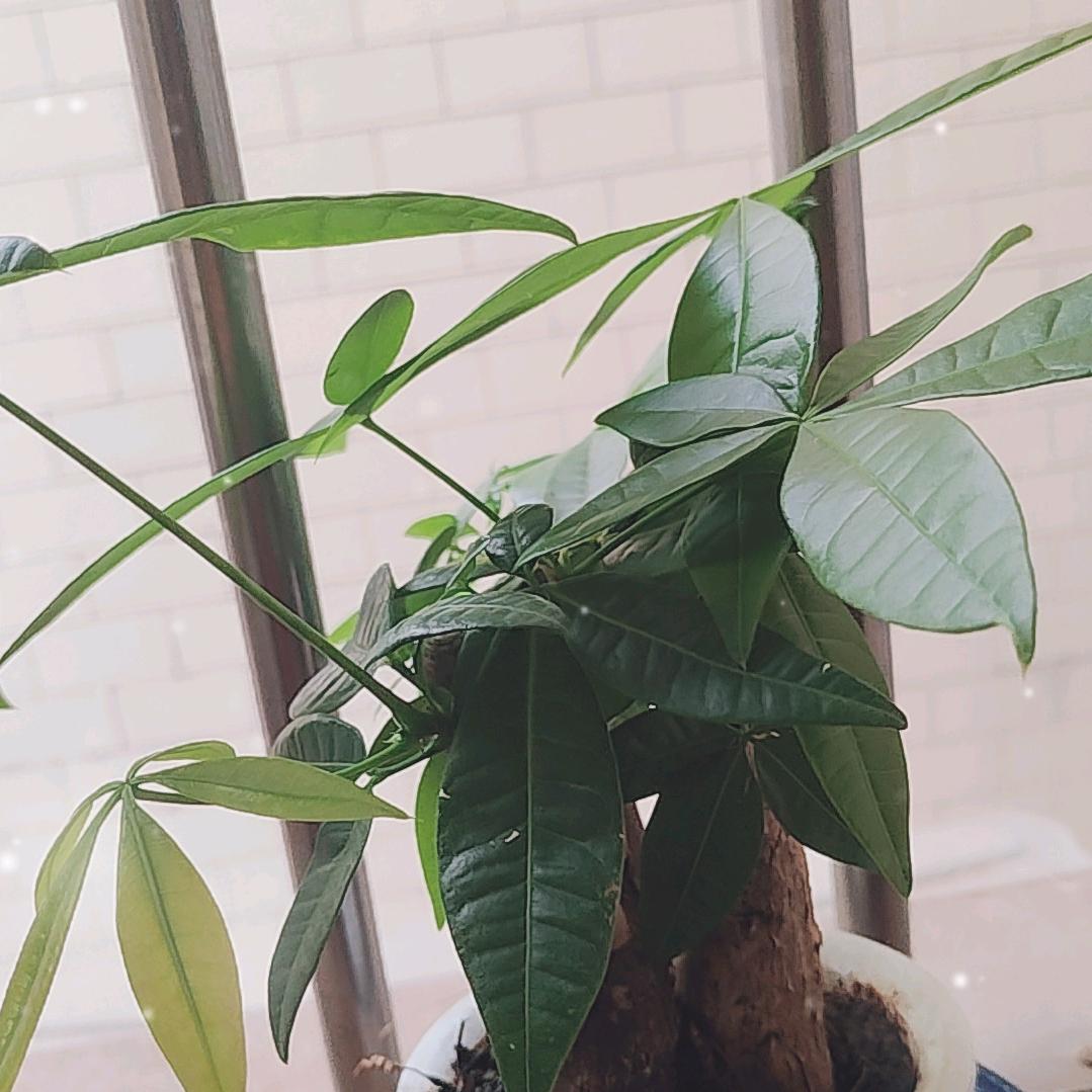 深邃的海洋