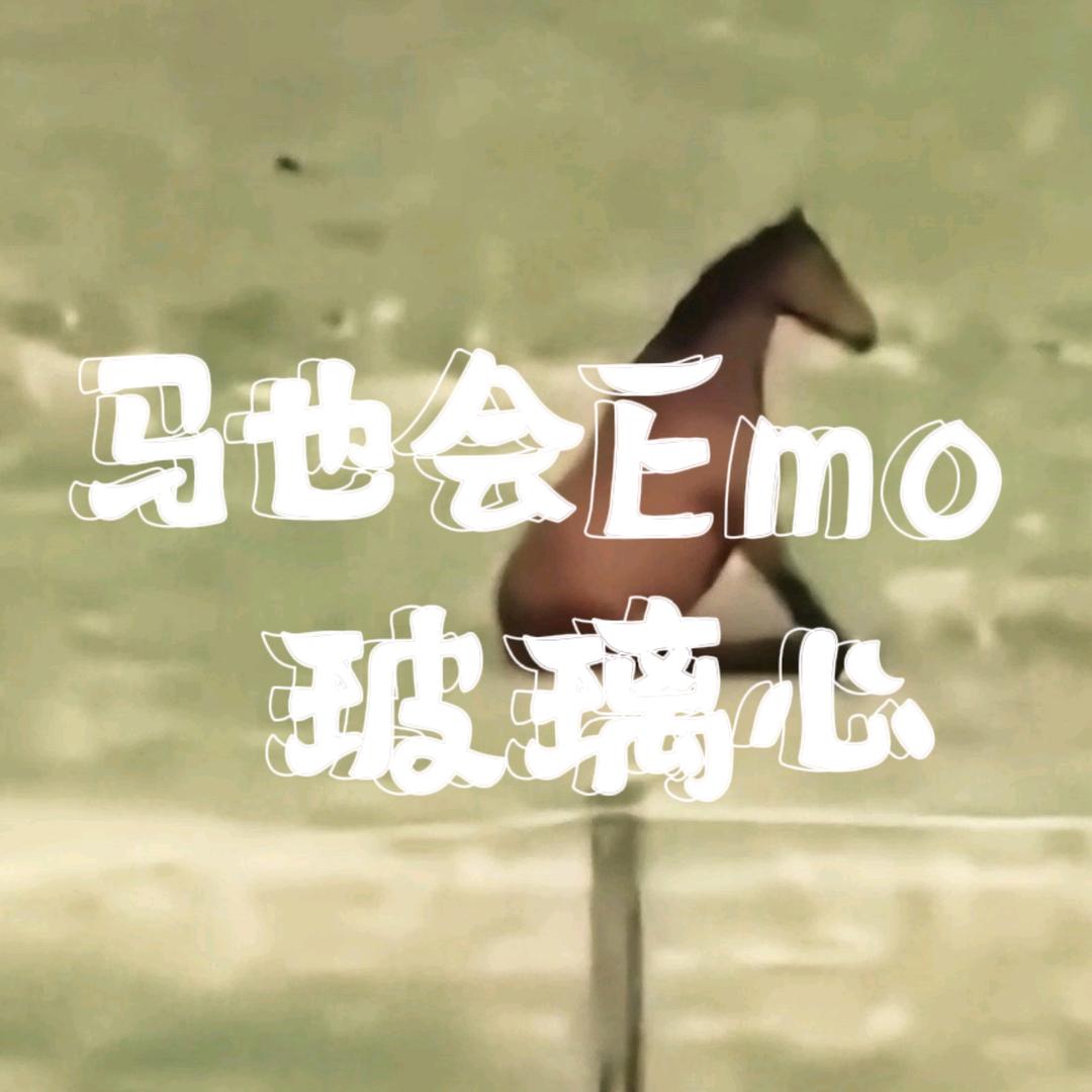 婕月疏