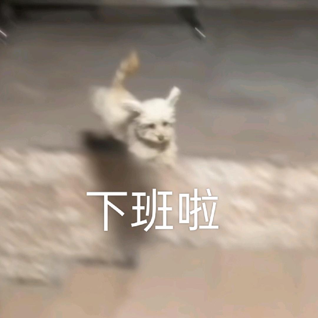 缺少素质