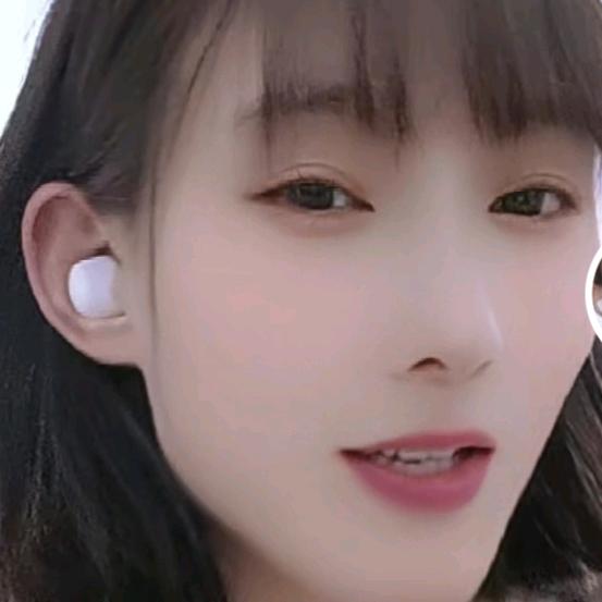 小艳子🌹🌹