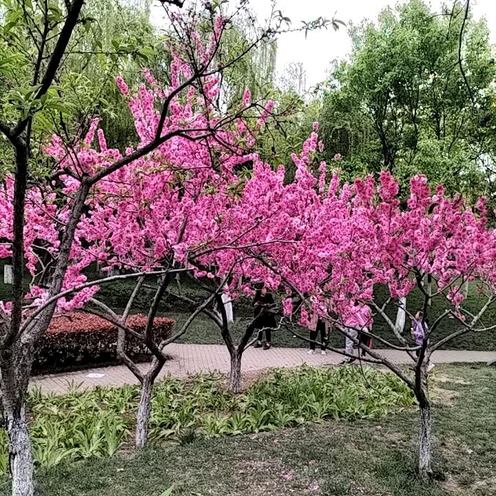 美甲～美睫～可上门