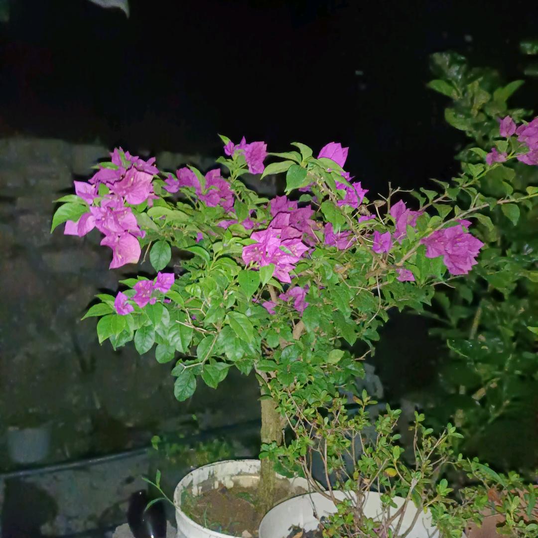 有关系的低保户