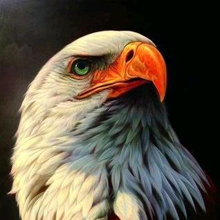 北派山水重庆艺术中心—吴确