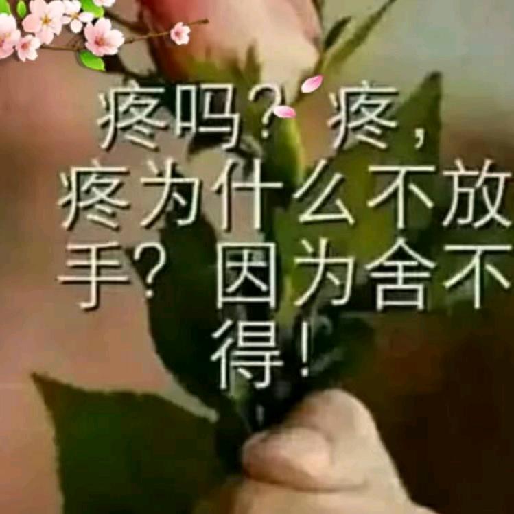 ℋღ࿐烈酒伴浓烟ℋღ࿐