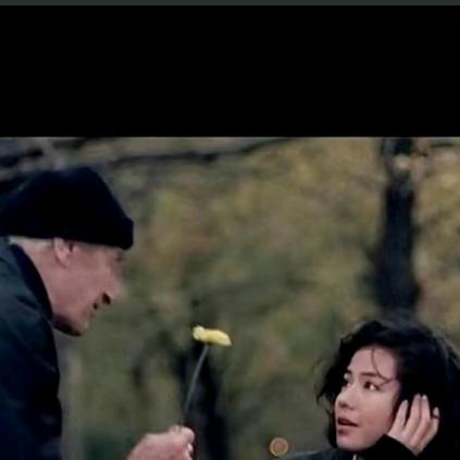 洋芋蛋的每一天