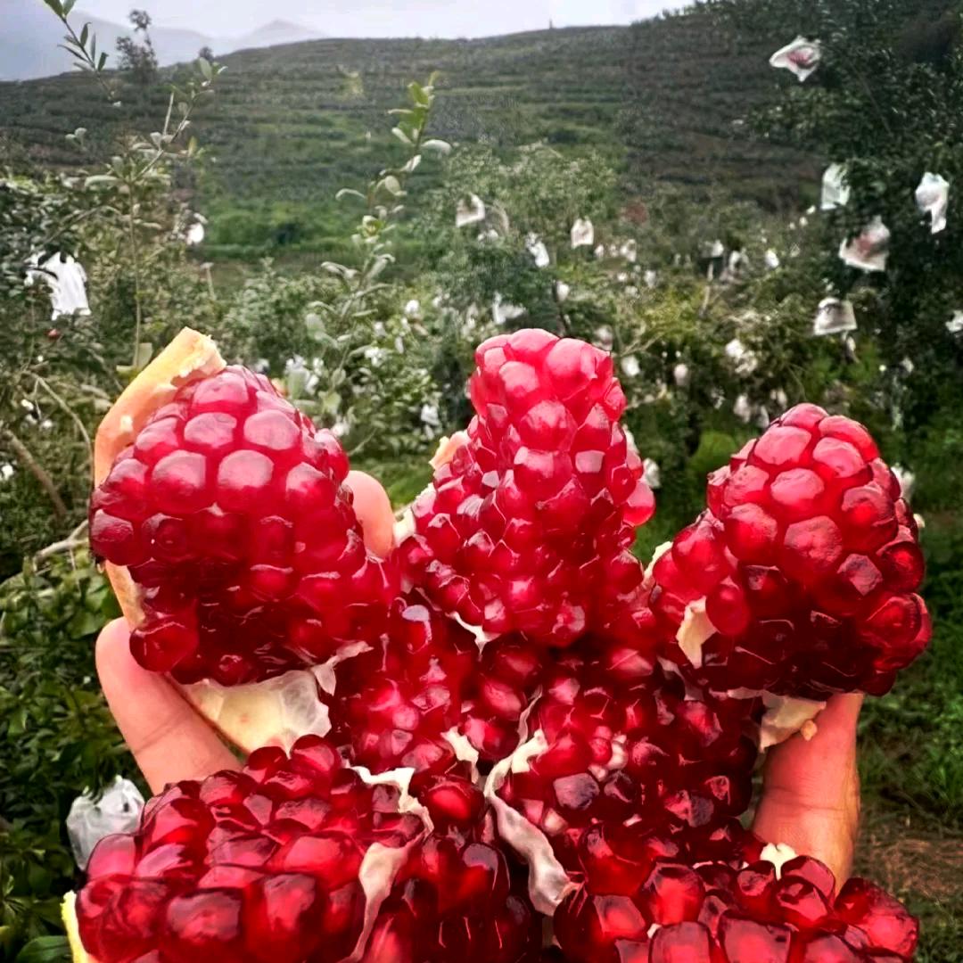 会理纳锐斯多元好物精选店