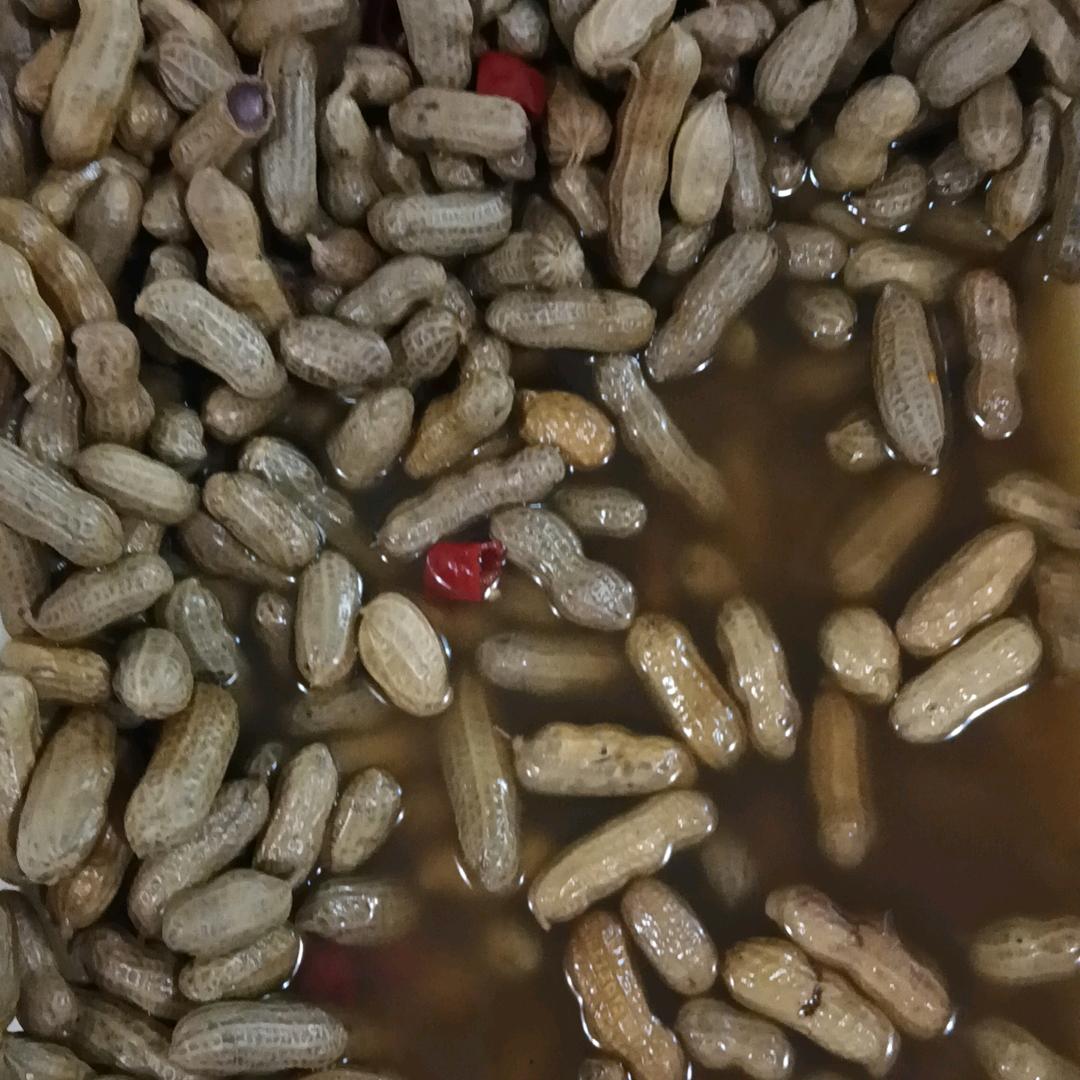 清晨阳光