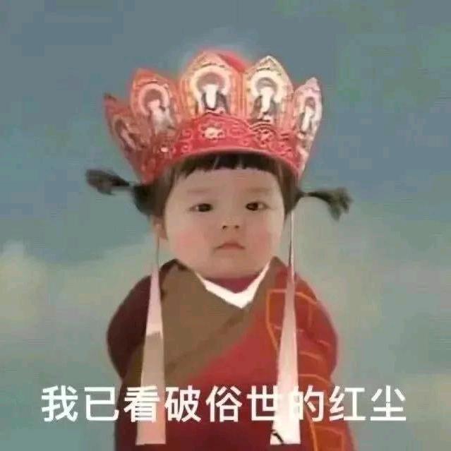 波妞🌈