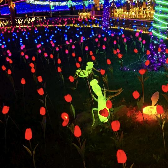 桐乡非遗之夜官方号