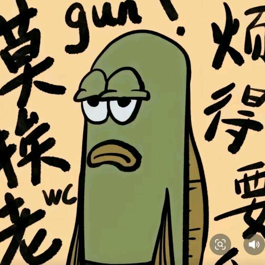 黑凤梨