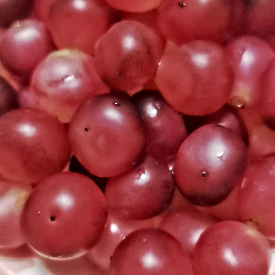好运天天有