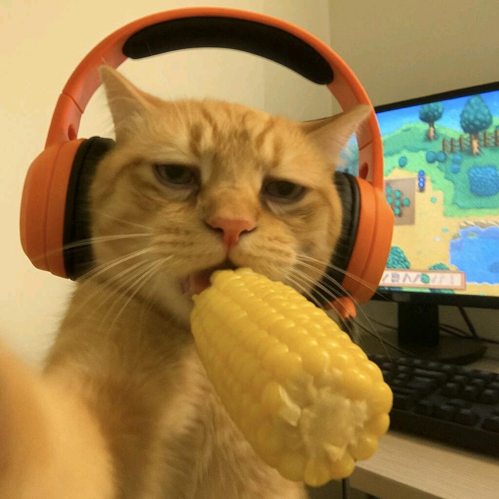 陈十一