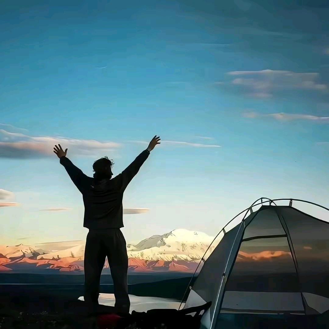 甘愿人生一场醉