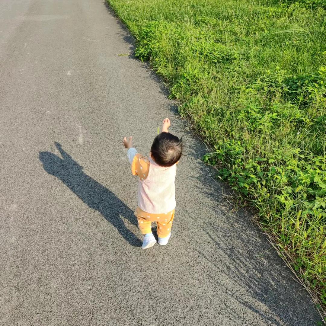 皮卡丁