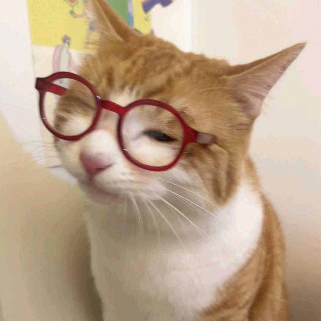 清绾