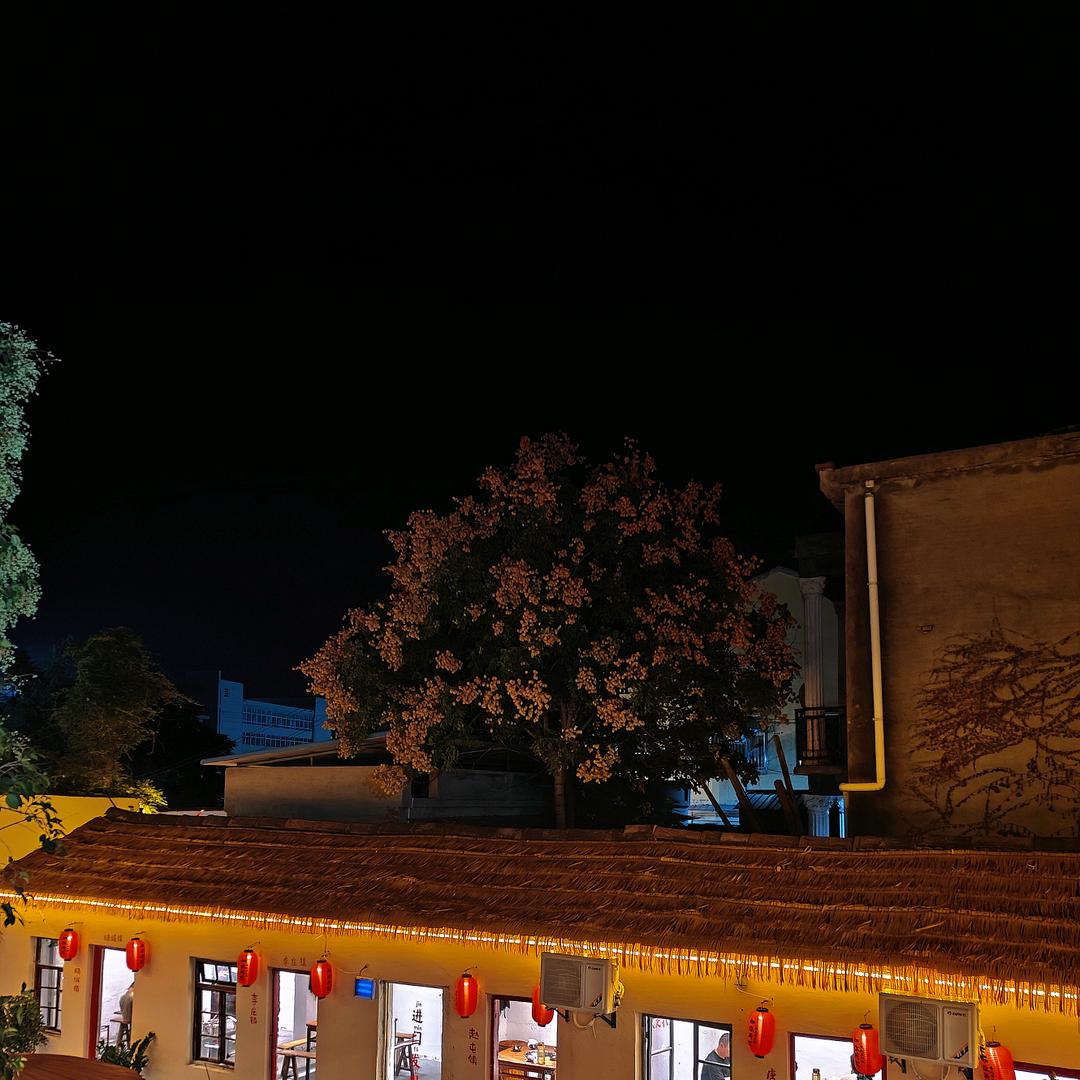 群而起(三角洲导盲犬)