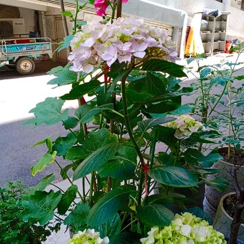 贝壳找房（新房免佣）