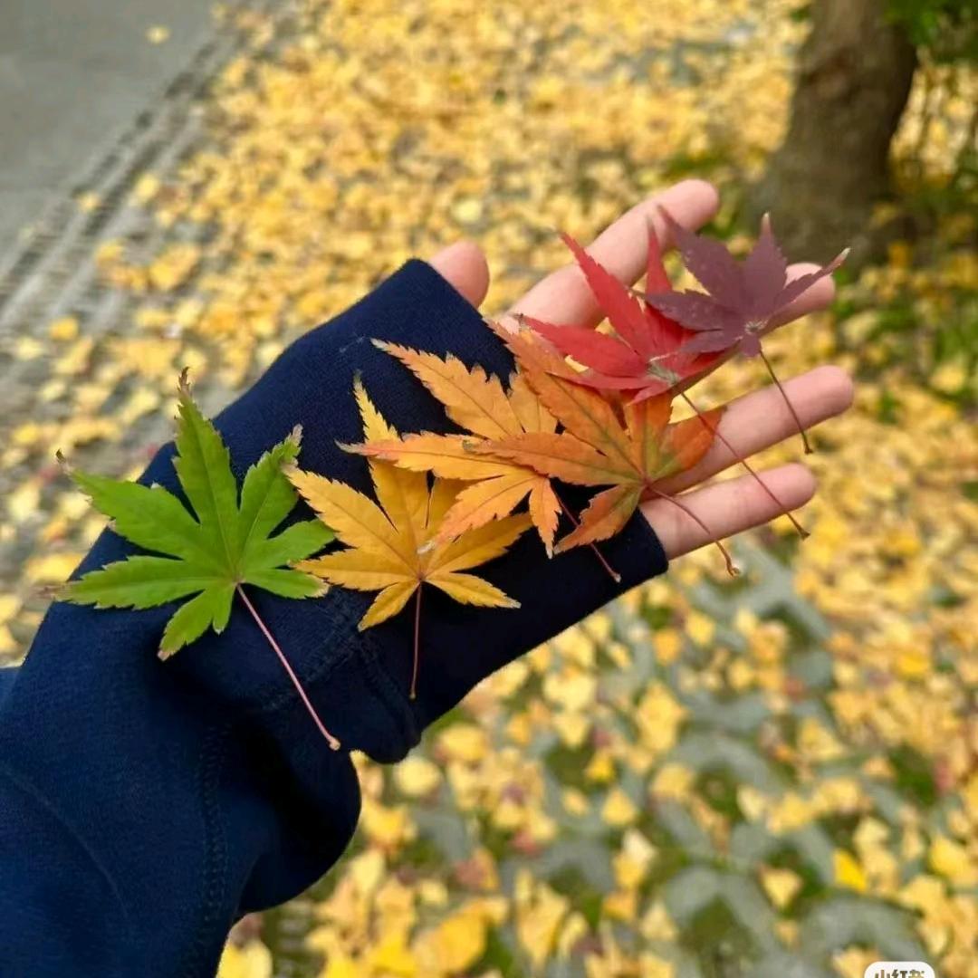 爱浪漫