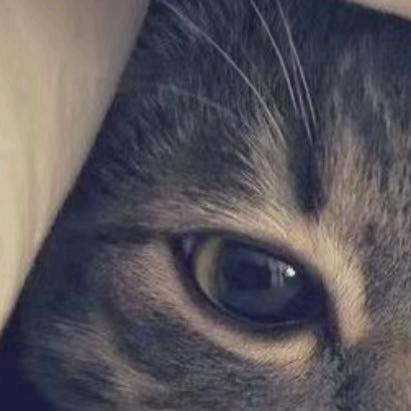 𝓗𝒶𝒾𝓇𝒽𝒶n