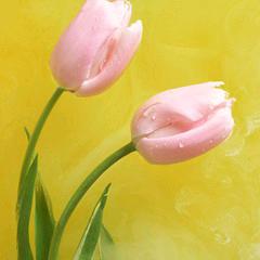 还是单身好想干嘛就干嘛