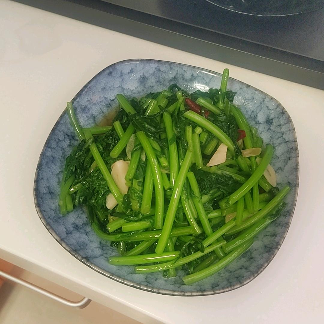 蜗牛陪我看世界