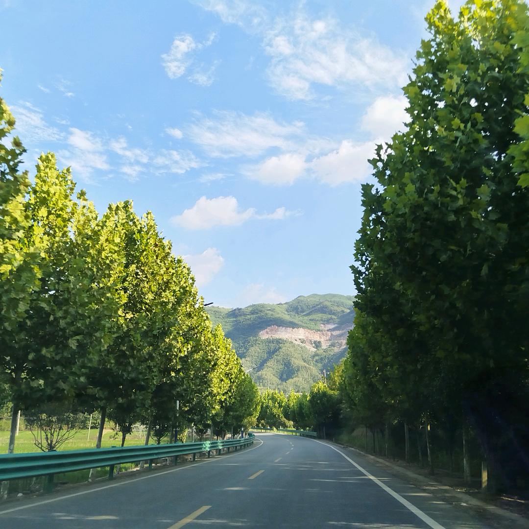 木梓