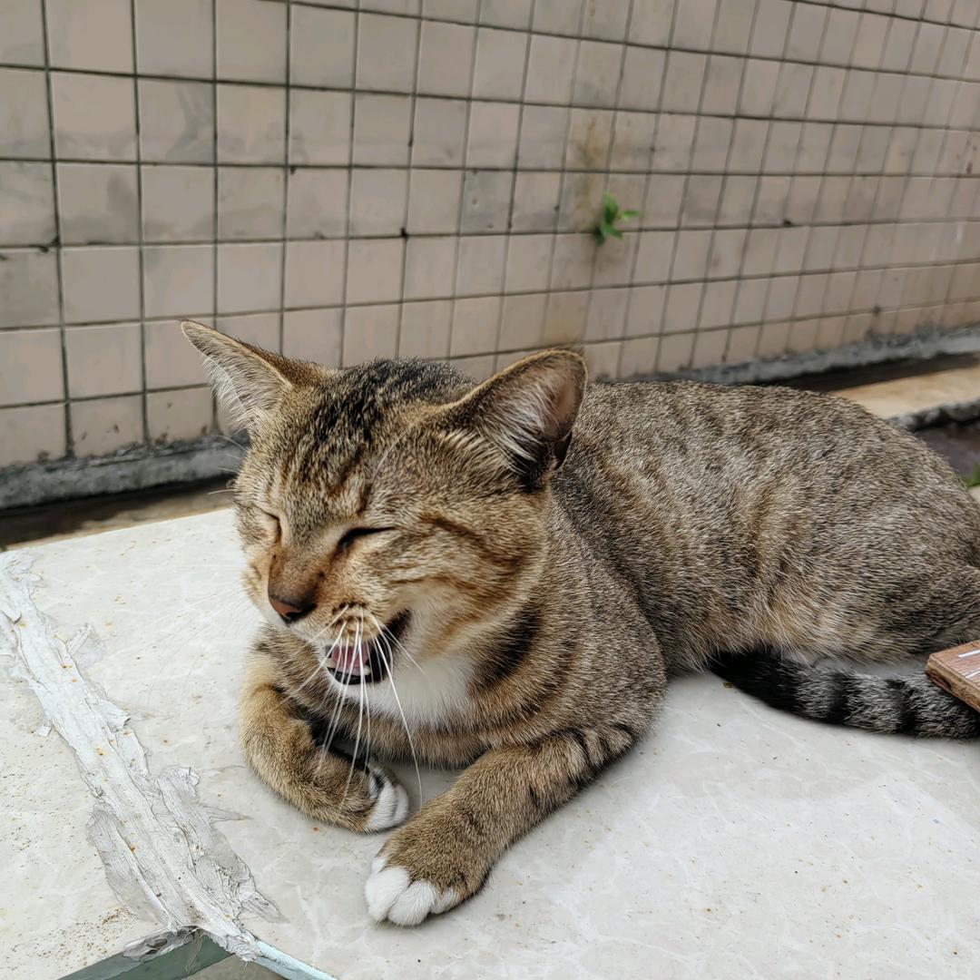 过火