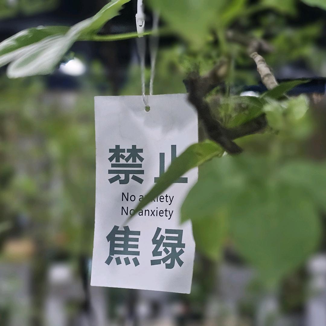 维逗大叔的Vk