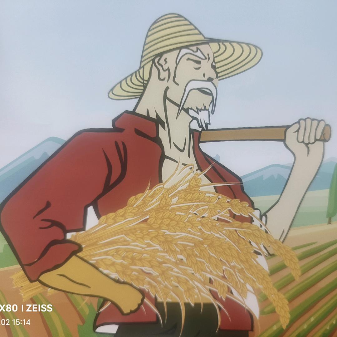 植保技术员小刘