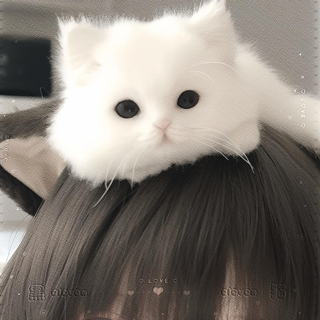 黑猫Bkat