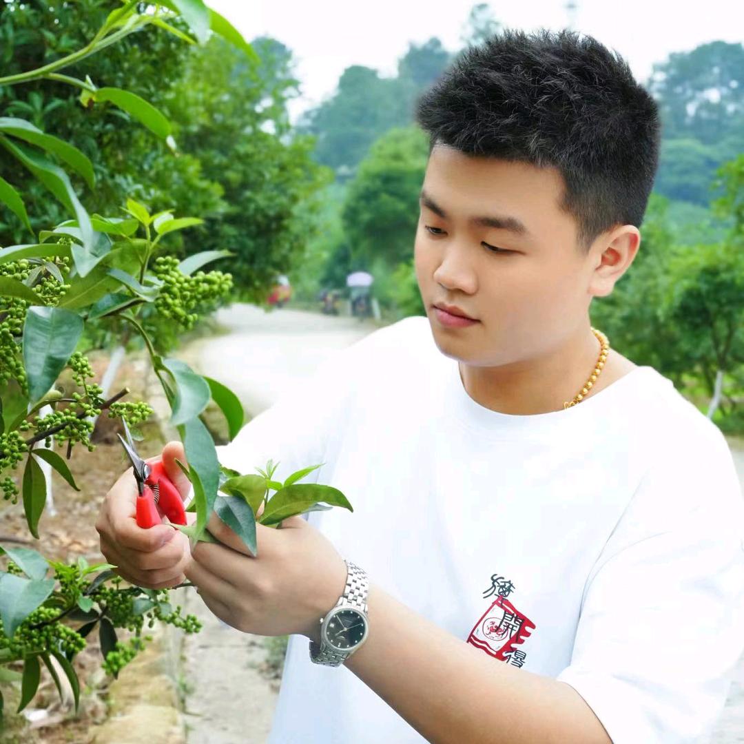 花椒，辣椒，大料，重庆盘溪干货批发市场