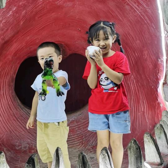 仔仔音乐🎶经典电台