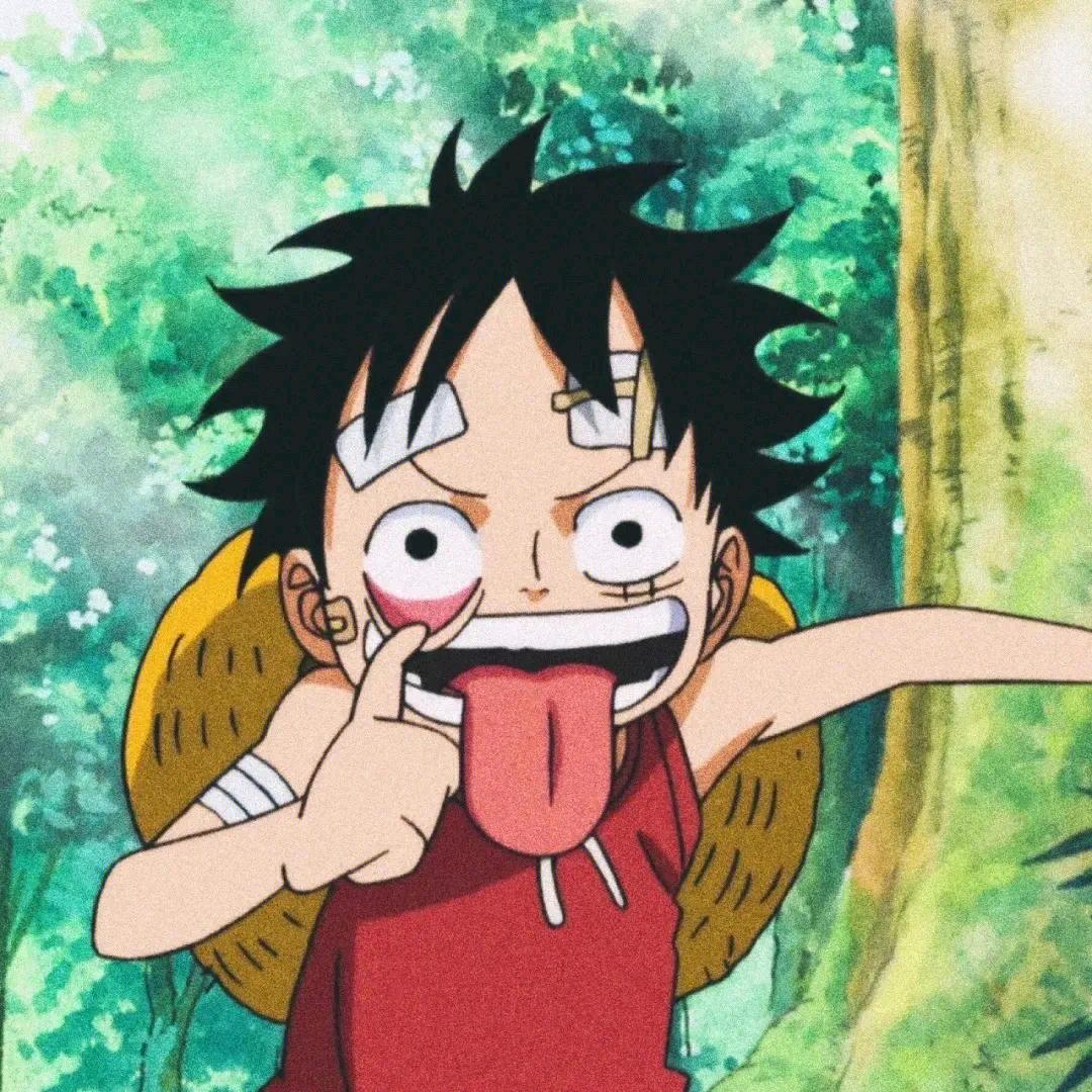 @朱朱