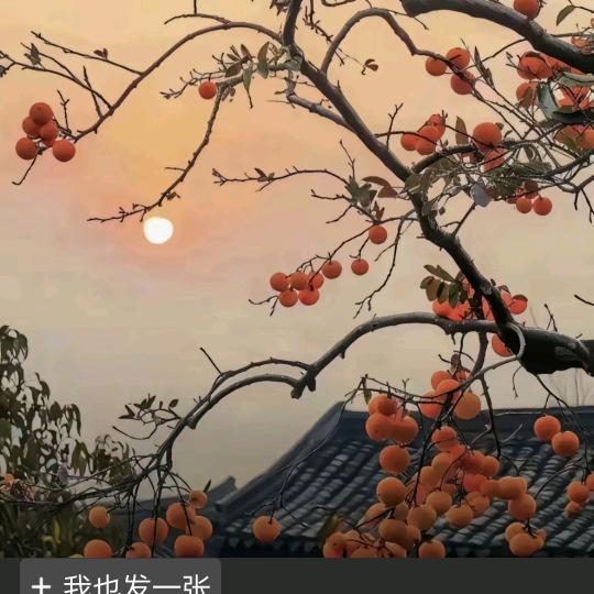 顺心如意