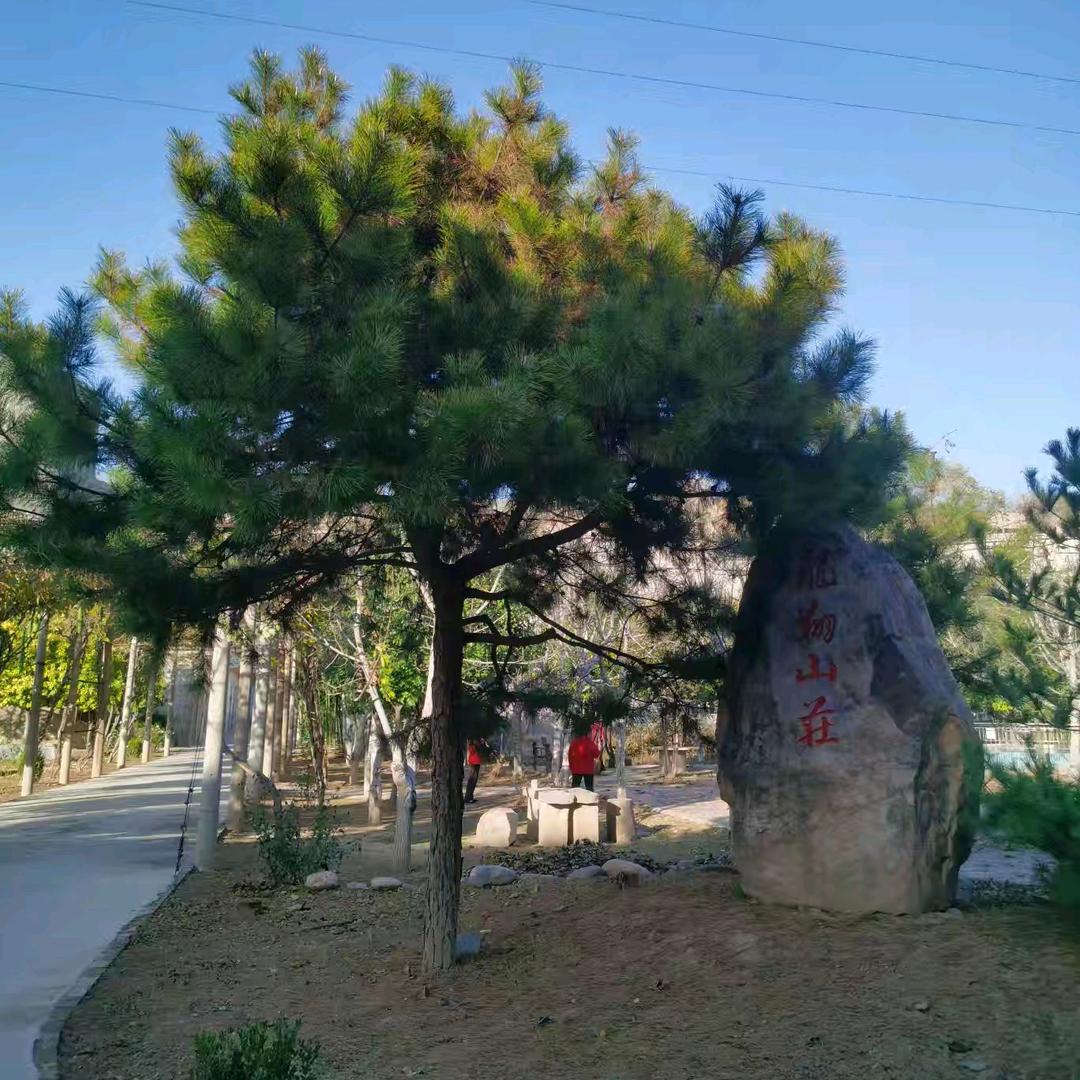 洛阳市龙翔山庄养老院