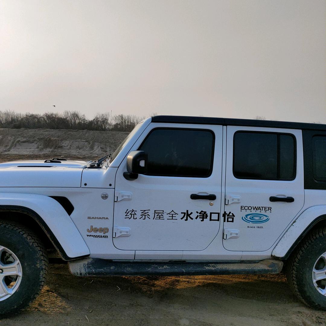 陈波