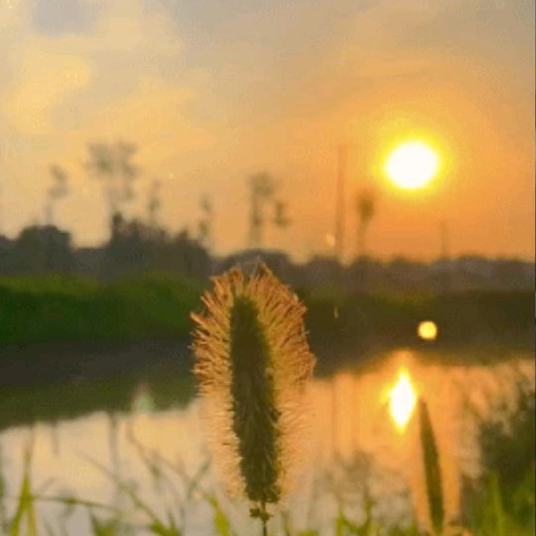 @晴天。