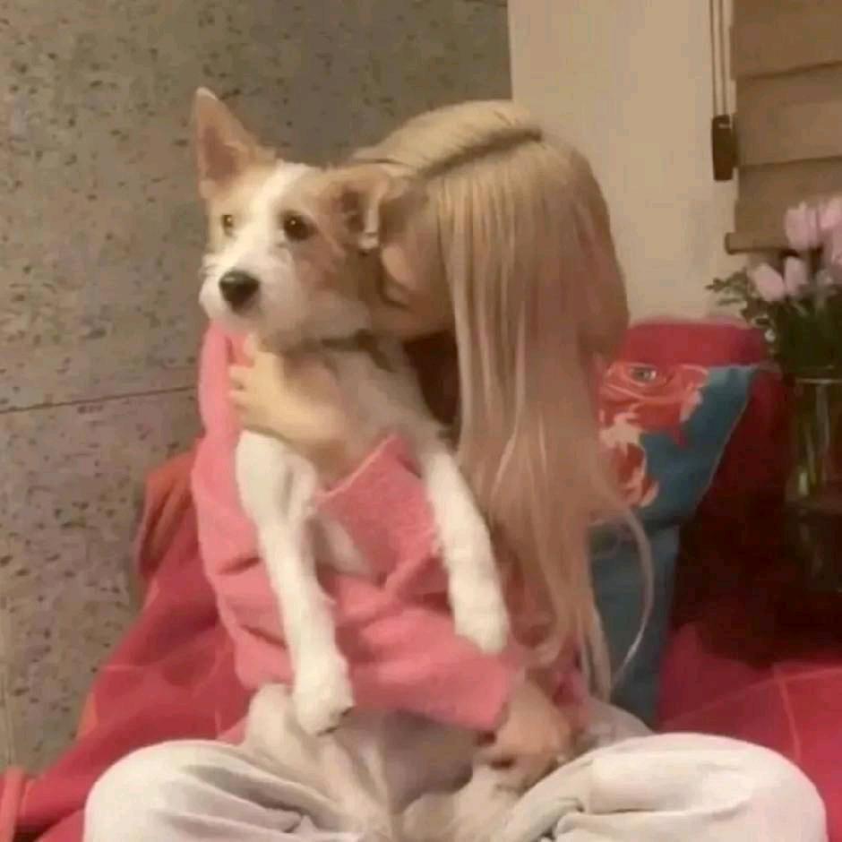 酸菜鱼Bill