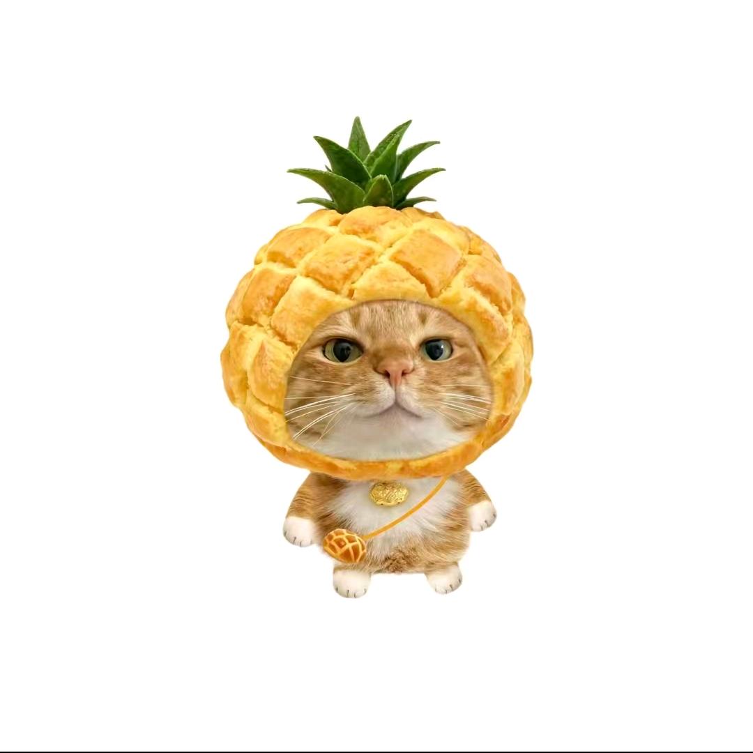 🌈菠萝猫🍀