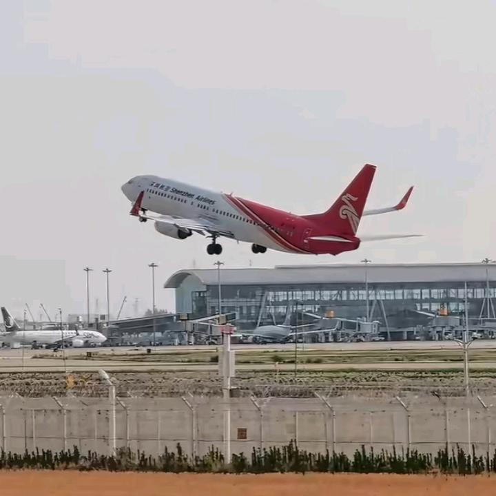 刘梦梦