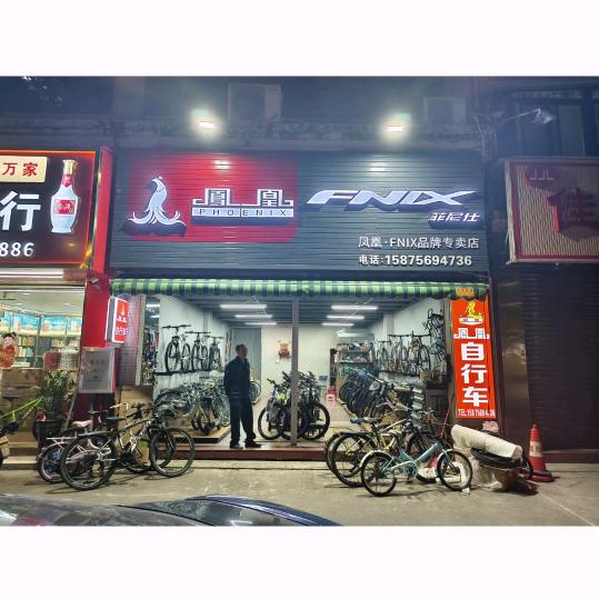 凤凰单车传奇