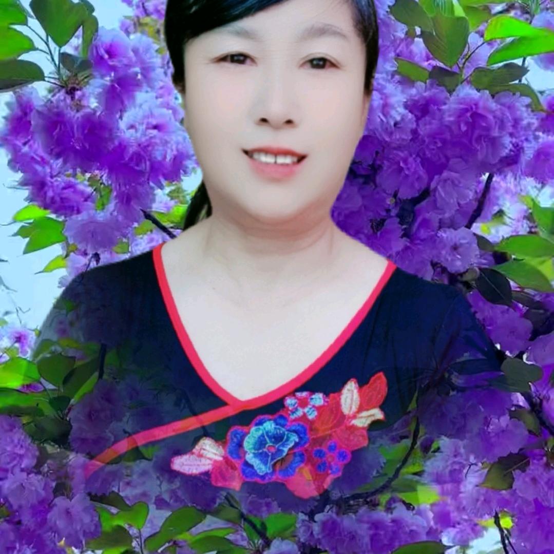 花蝴蝶2488