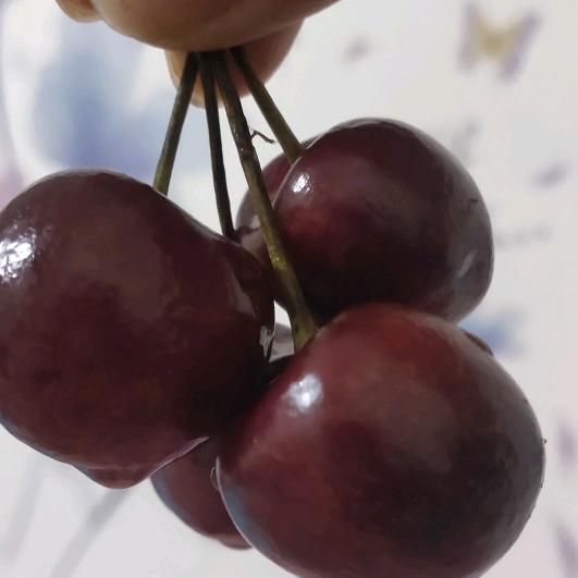 春天的阳光更美好