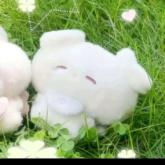 花解雨