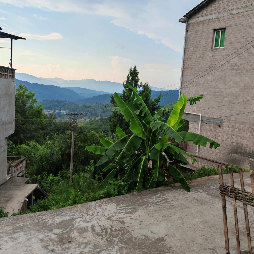 (๑><๑）彭燃心动(๑><๑）