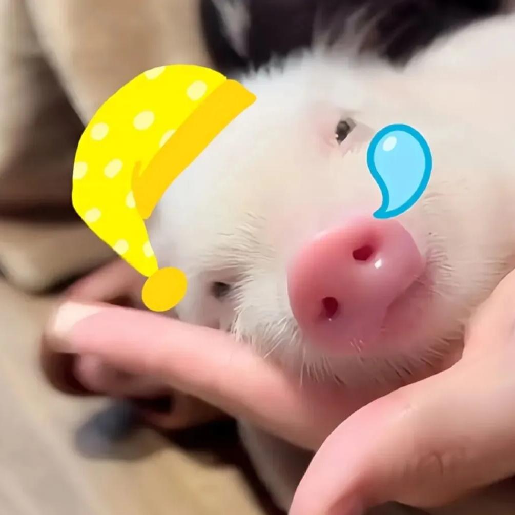 楚西林