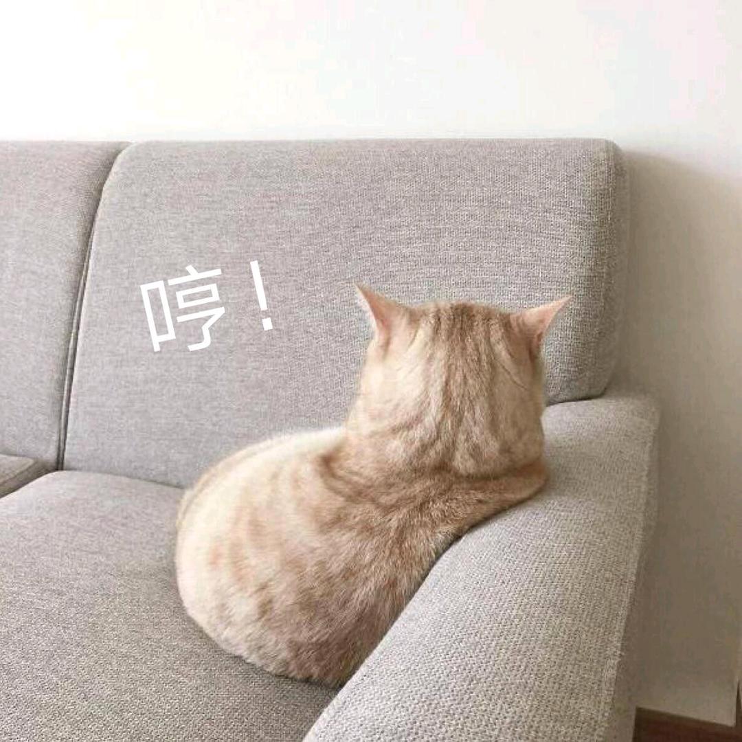 阿莫QAQ