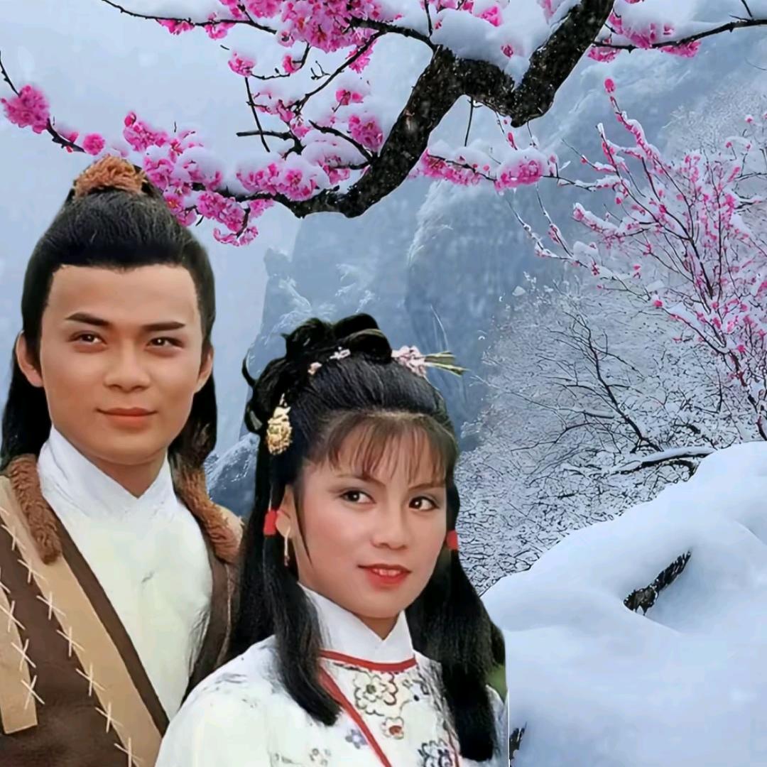重置