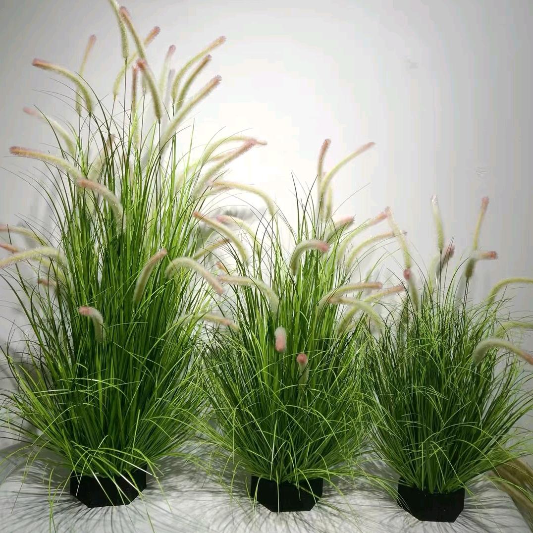 花信风来🍀仿真绿植