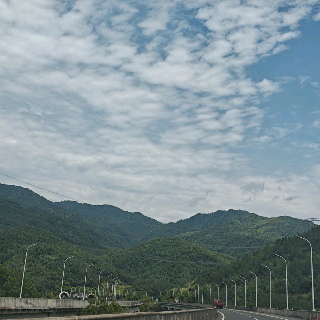 晋晋